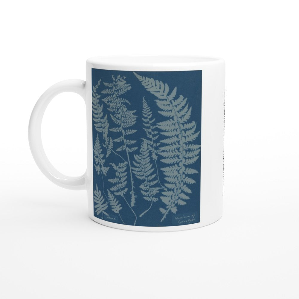 Anna Atkins Cyanotype Botany Mug