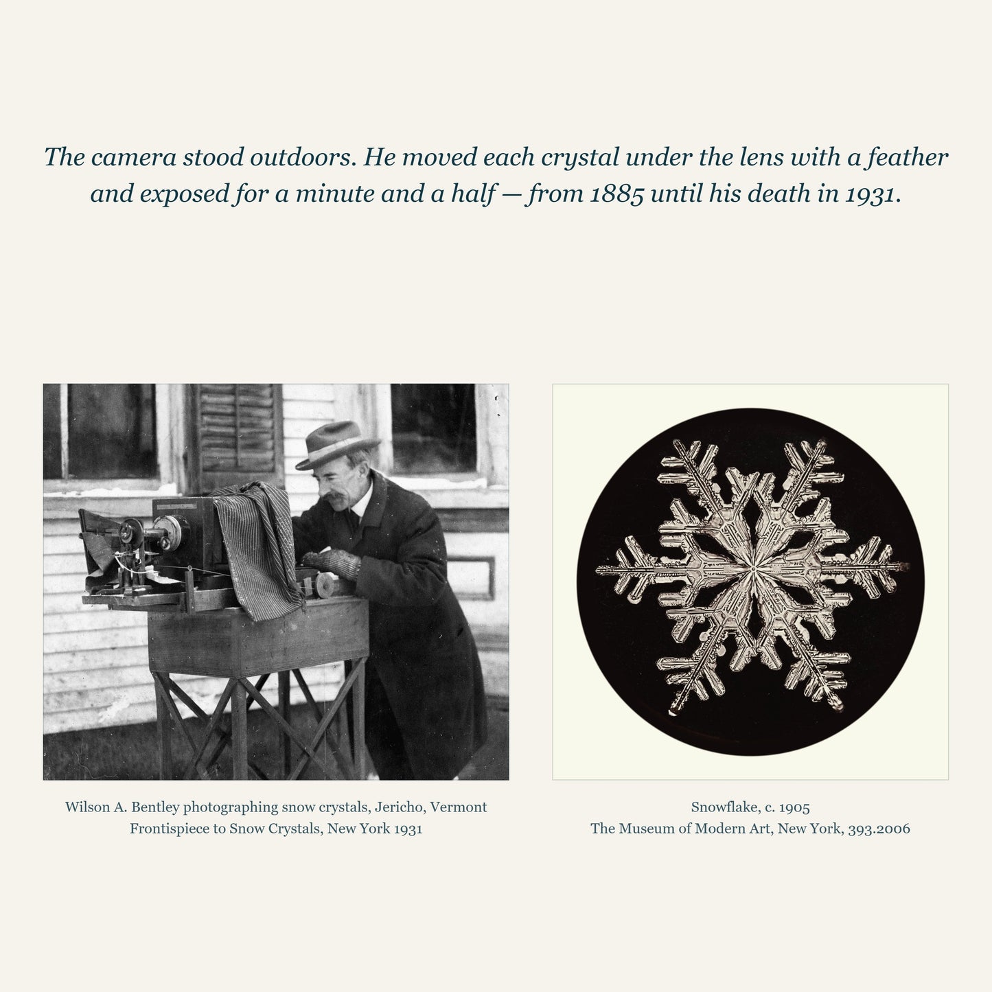 Wilson Bentley photographing snow crystals in Jericho, Vermont, and his Snowflake print of c. 1905 from the Museum of Modern Art