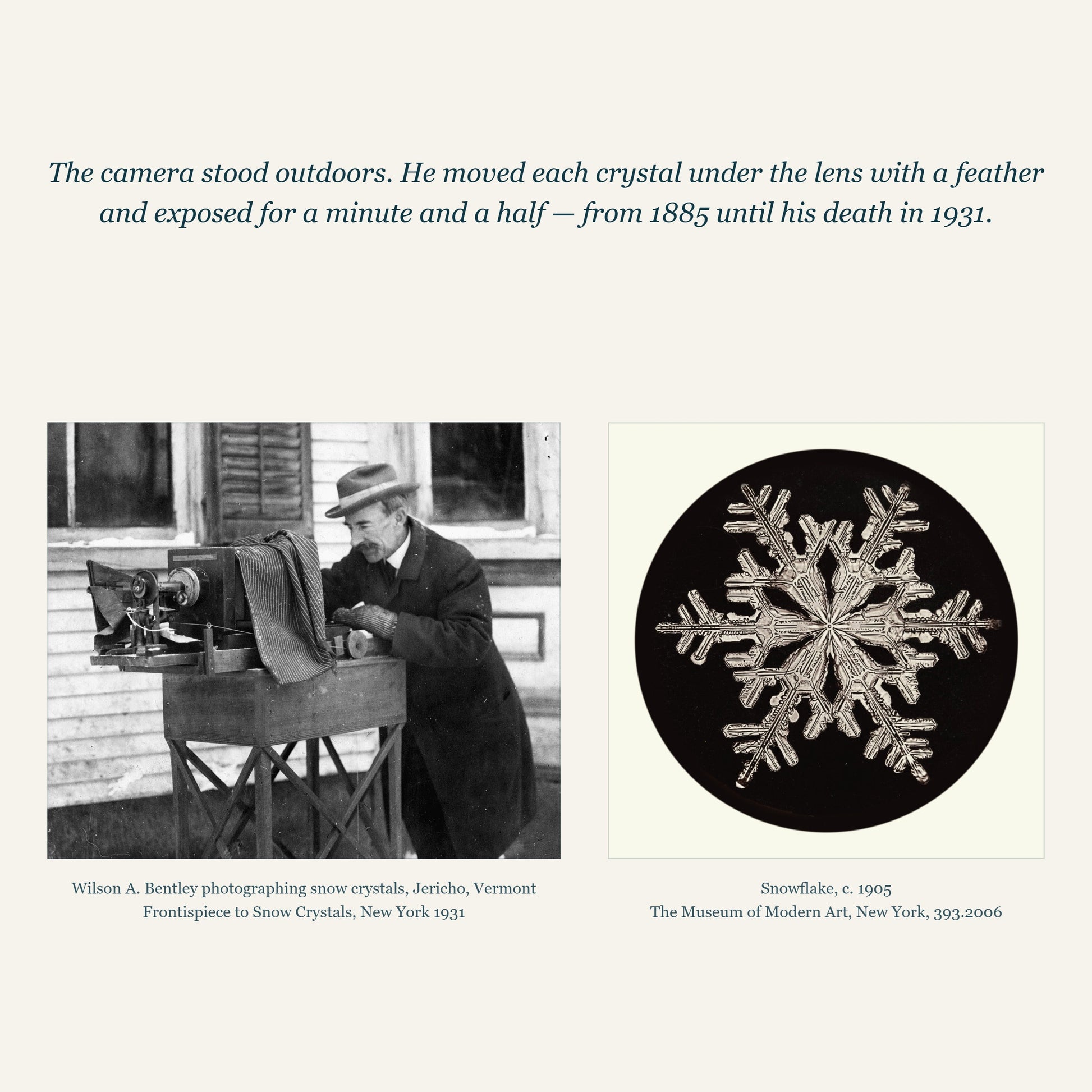 Wilson Bentley photographing snow crystals in Jericho, Vermont, and his Snowflake print of c. 1905 from the Museum of Modern Art