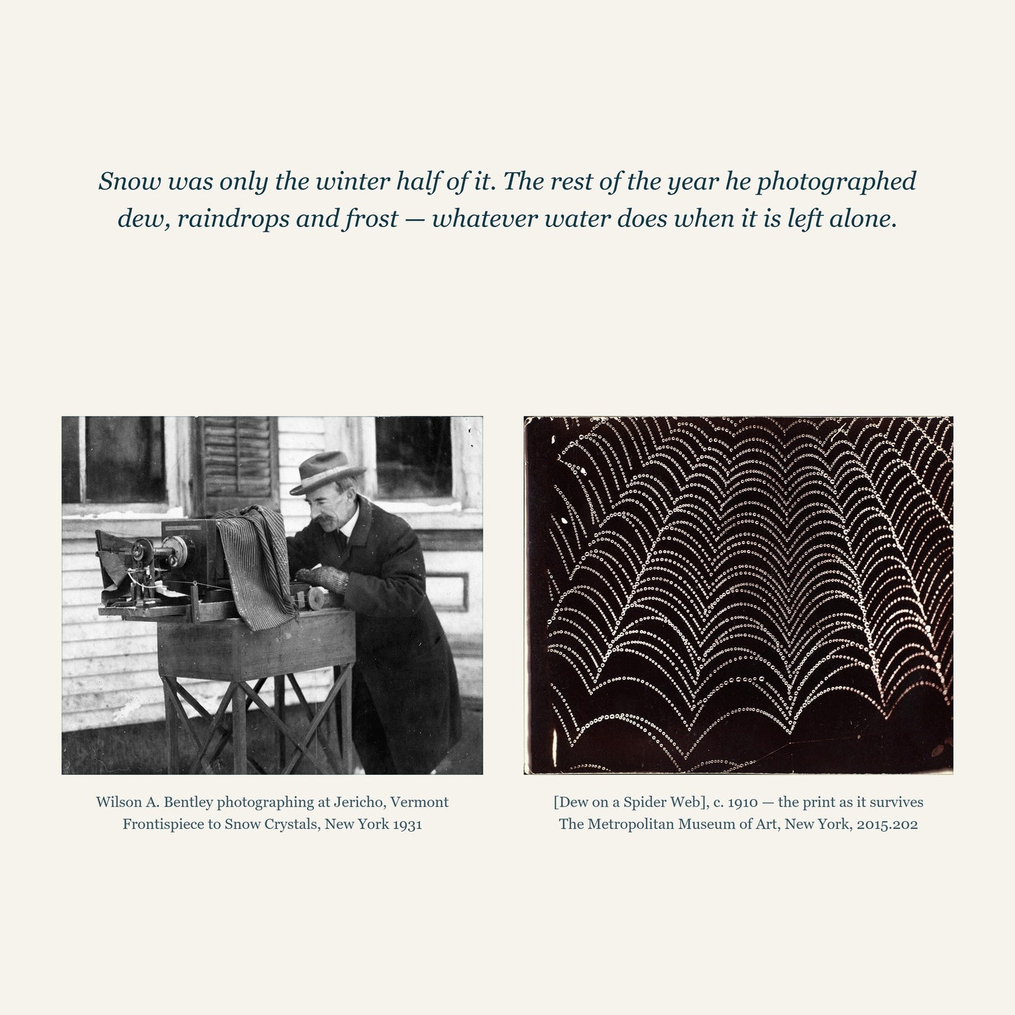 Wilson Bentley photographing at Jericho, Vermont, and his Dew on a Spider Web print of c. 1910 from the Metropolitan Museum of Art