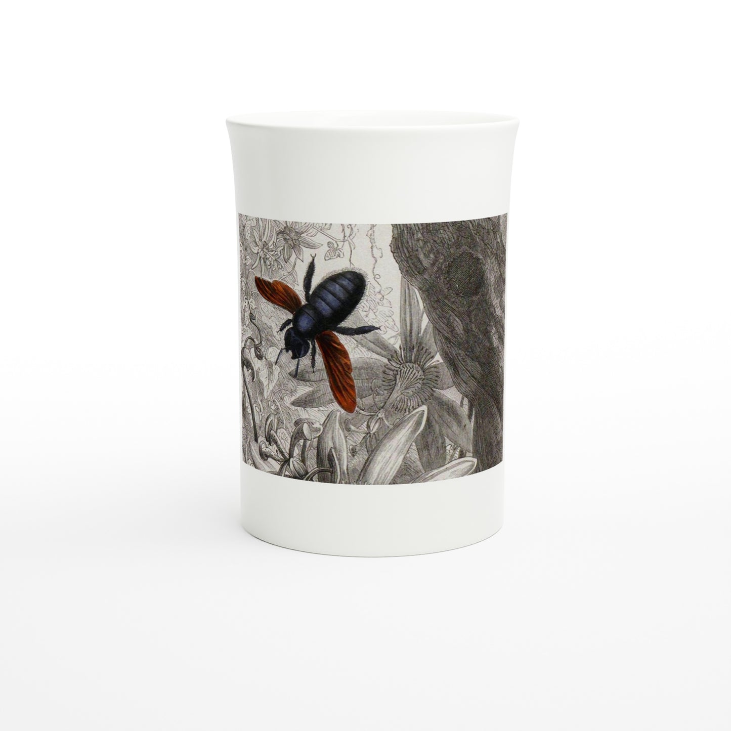 Carpenter bee Xylocopa morio, Musée entomologique illustré 1878 – Tazzarte fine porcelain mug, front view