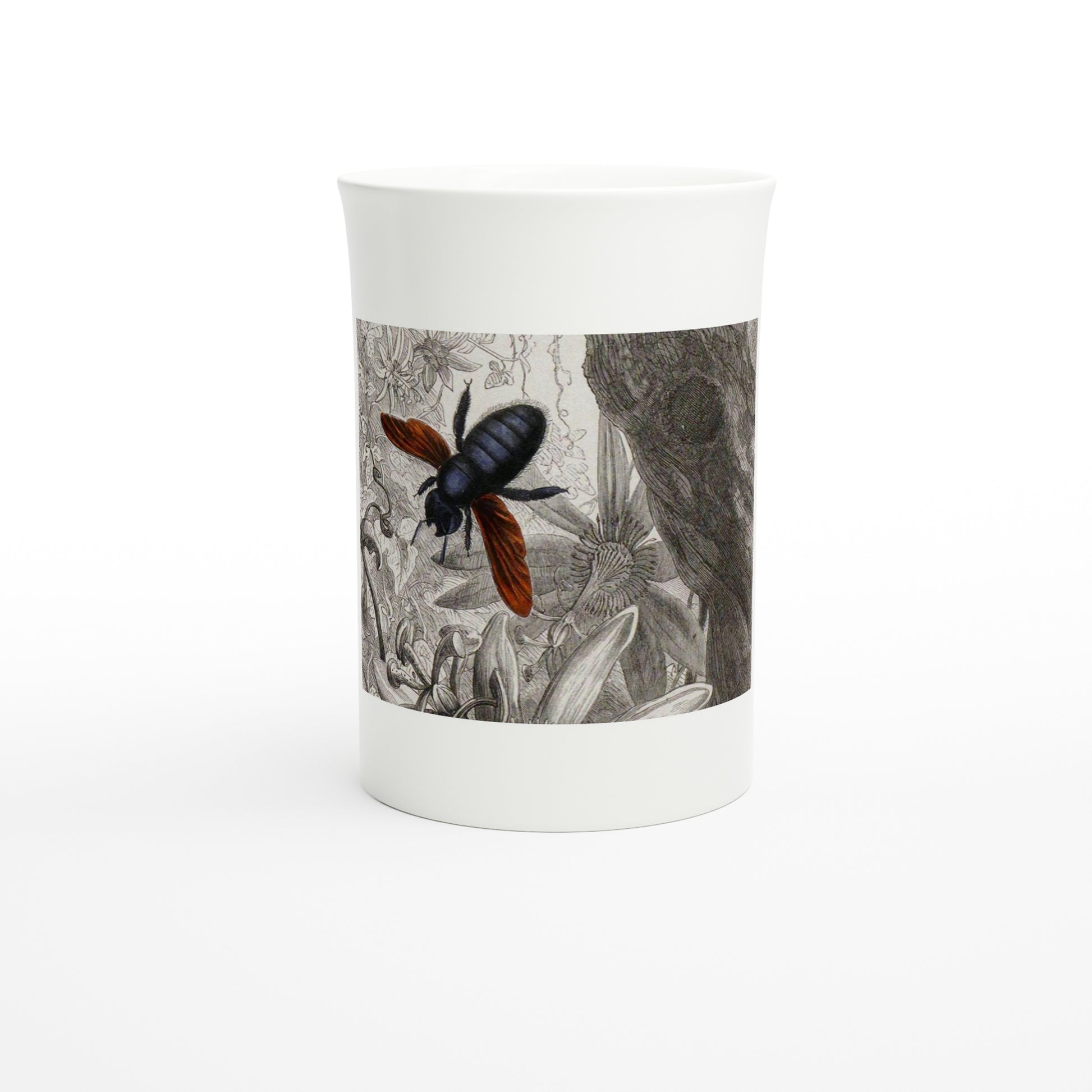 Carpenter bee Xylocopa morio, Musée entomologique illustré 1878 – Tazzarte fine porcelain mug, front view