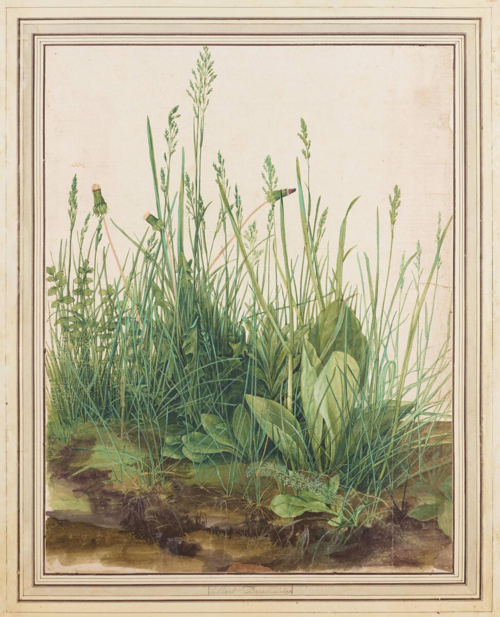 Albrecht Dürer – Great Piece of Turf (Das große Rasenstück), 1503, watercolour and bodycolour on paper
