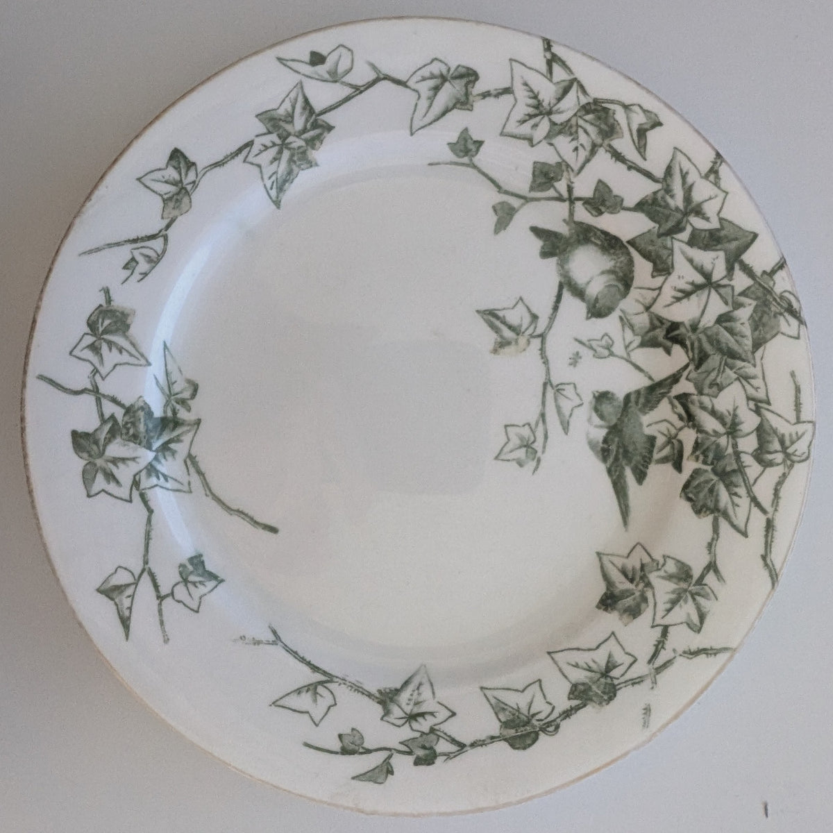 The original: Ivy Bower, 1881, transfer-printed earthenware plate by George Jones & Sons, private collection