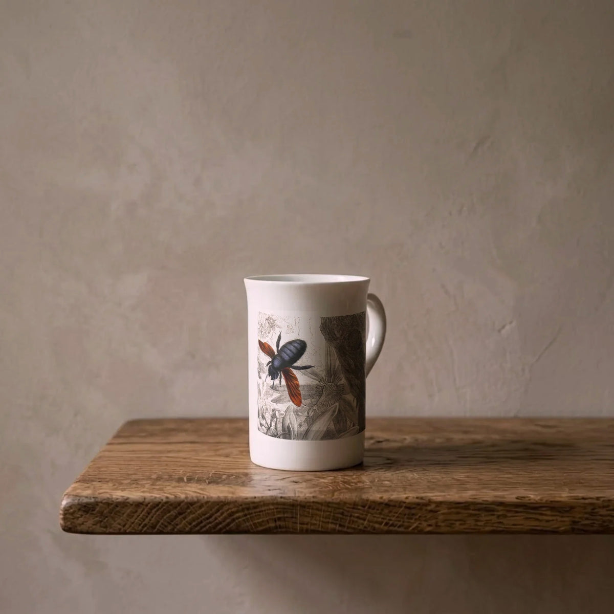 Musée Entomologique: Carpenter Bee (Xylocopa morio), 1878 – porcelain art mug on an oiled oak shelf against a limewashed wall