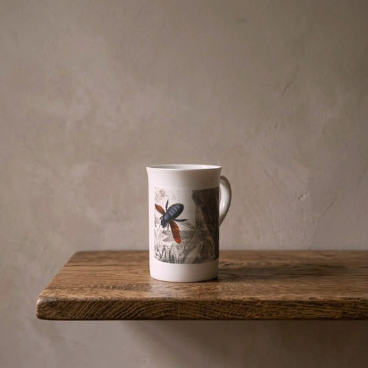 Musée Entomologique: Carpenter Bee (Xylocopa morio), 1878 – porcelain art mug on an oiled oak shelf against a limewashed wall