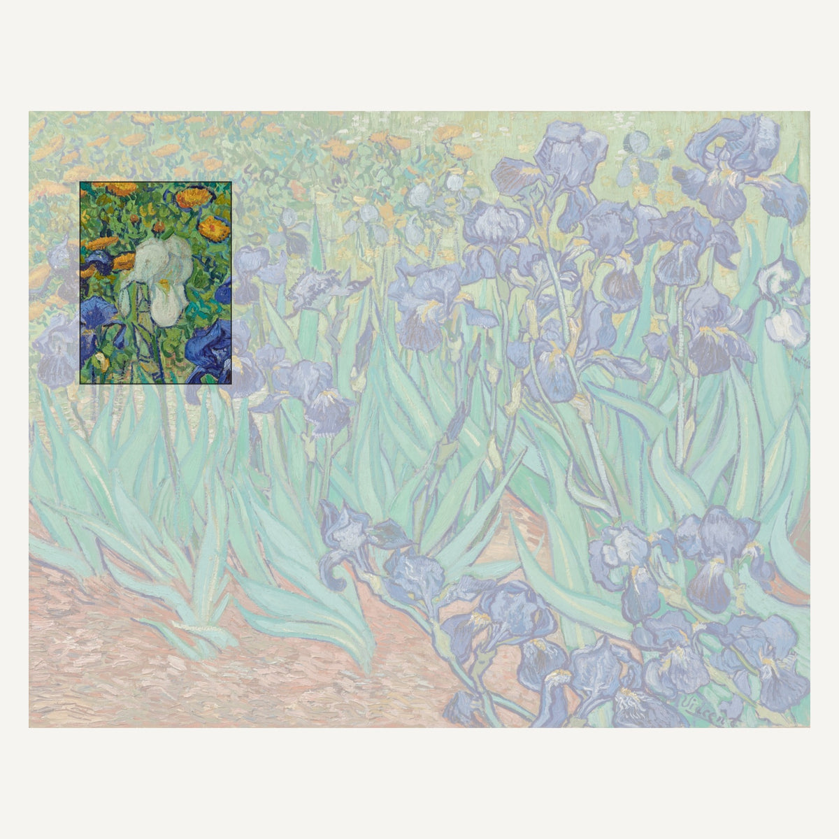 Vincent van Gogh, Irises, 1889 – the complete canvas at the J. Paul Getty Museum (90.PA.20); the marked section is the one carried on the mug