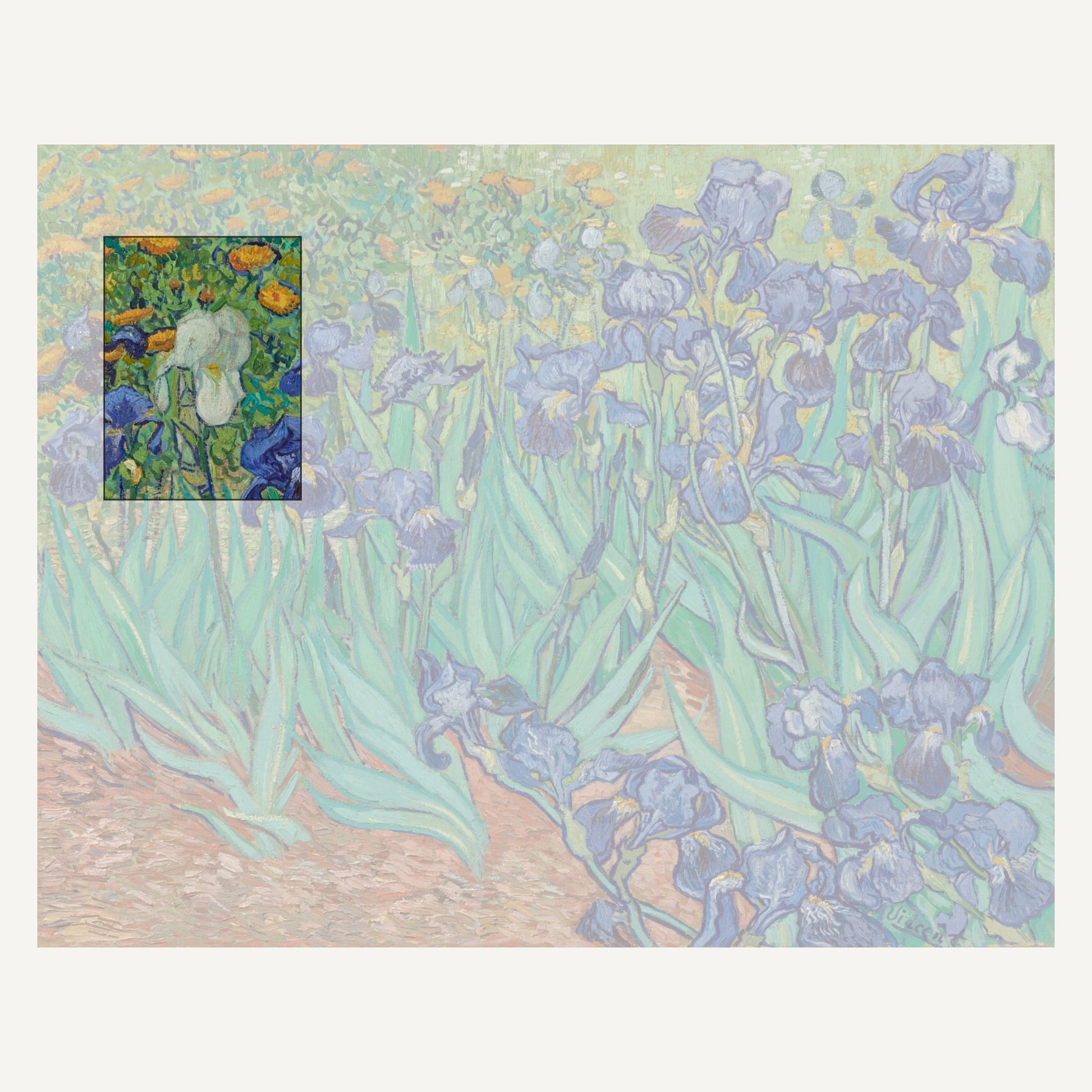 Vincent van Gogh, Irises, 1889 – the complete canvas at the J. Paul Getty Museum (90.PA.20); the marked section is the one carried on the mug